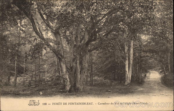 Forêt de Fontainebleau - Carrefour du Nid de l'Aigle (Mont Ussy) France