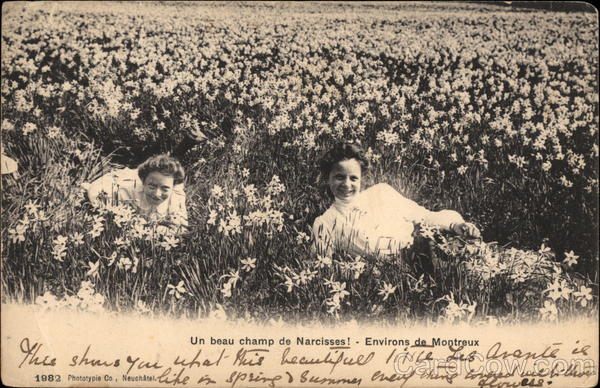 Two Women in a Field of Flowers Montreux France