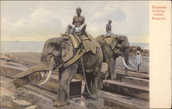 Elephants Working Timber Postcard