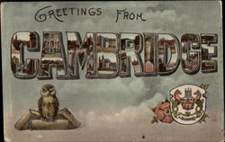 Greetings - Various Views Postcard