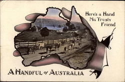 A Handful of Australia - Cattle on Road Postcard
