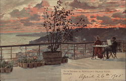 Bertolini's Palace Hotel - Terrace Postcard