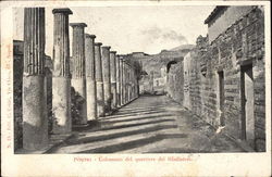 Gladiators Quarters Postcard