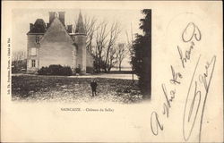 Saincaize - Château du Sallay Postcard