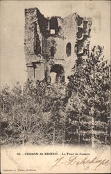 La Tour de Cesson Postcard