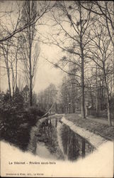 Le Vesinet - Riviere sous-bois Postcard