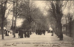 La Grande Allee des Promenades Postcard