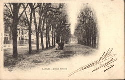Avenue Voltaire Nangis, France Postcard Postcard