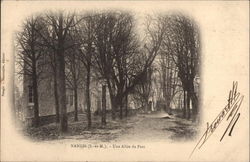 Une Allee du Parc Postcard
