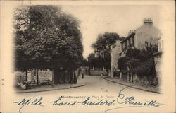 Place de Venise Postcard