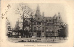 Chateau de Duc de Dino Postcard