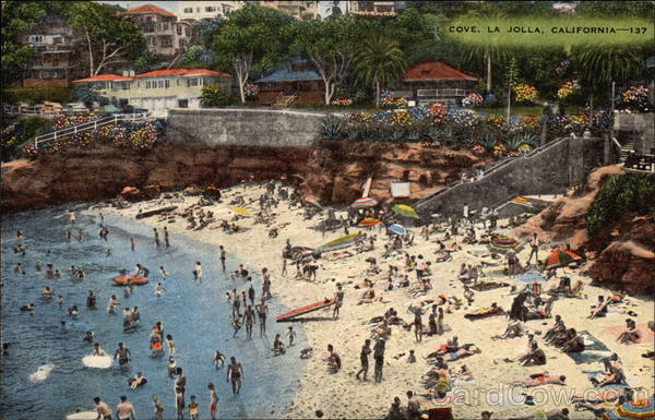 Bathing at The Cove La Jolla California