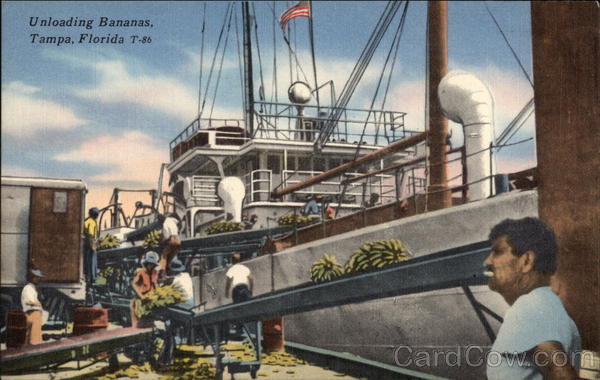 Unloading Bananas Tampa Florida