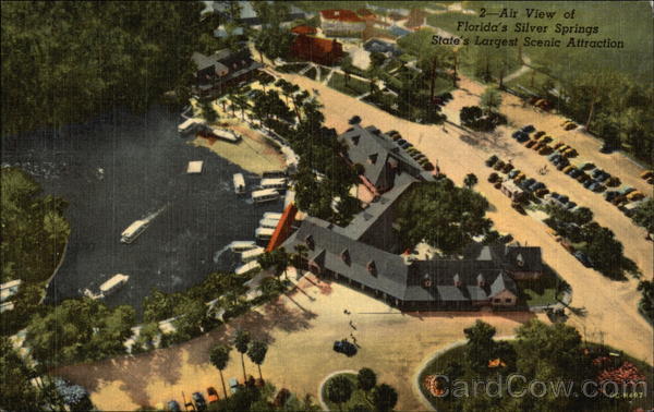 Air View of Florida's Silver Springs