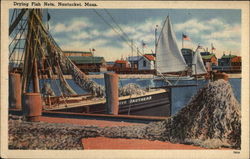 Drying Fish Nets Postcard