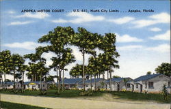 Apopka Motor Court...U.S. 441, North City Limits Postcard