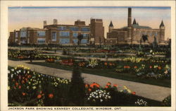 Jackson Park Showing Kennedy Collegiate Postcard