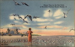 Dinner Time for the Sea Gulls at the Beach Postcard
