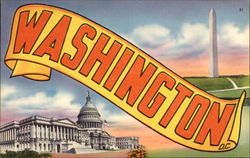 View of The Capitol Postcard