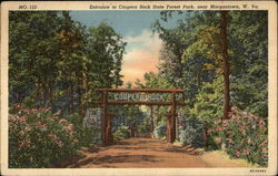 Entrance to Coopers Rock State Forest Park Morgantown, WV Postcard Postcard