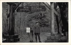 Entrance to Muir Woods Postcard