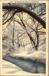 An Enchanting Scene in Mid-Winter Seasons Postcard Postcard