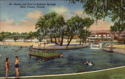 Beach and Pool at Sulphur Springs Tampa, FL Postcard Postcard