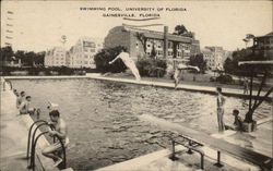 Swimming Pool, University of Florida Postcard