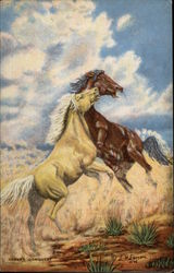 Desert Conquest Postcard
