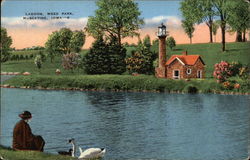 Lagoon, Weed Park Muscatine, IA Postcard Postcard