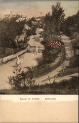 Road in Paget Postcard