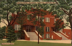 Busines College - Gymnasium - Auditorium Chillicothe, MO Postcard Postcard