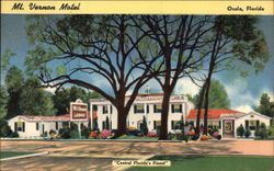 Mt. Vernon Motel Ocala, FL Postcard Postcard
