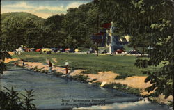 Trout Fisherman's Paradise at Roaring River State Park Cassville, MO Postcard Postcard