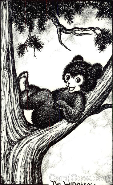 No Worries Bears