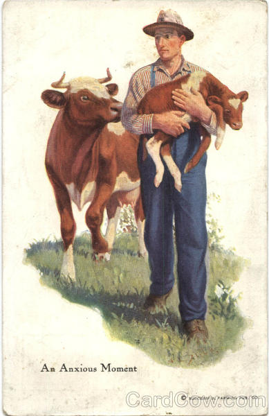 An Anxious Moment Cows & Cattle