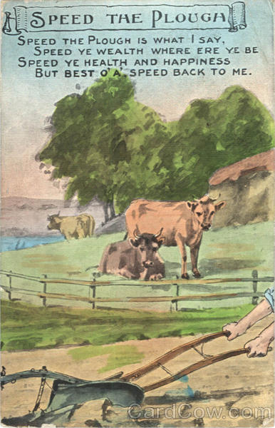 Speed The Plough Cows & Cattle