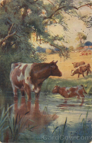 Noonday Heat Cows & Cattle