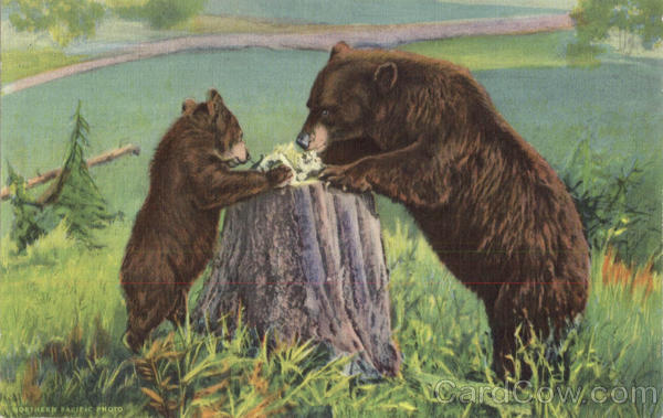 Learning Table Manners Bears