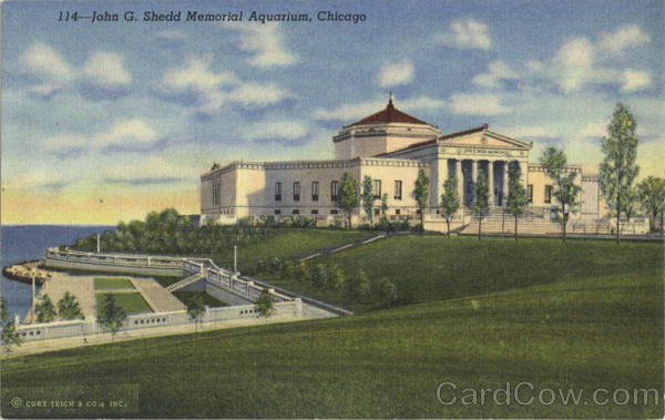 John G. Shedd Memorial Aquarium Chicago Illinois