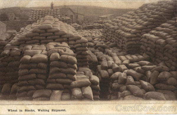 Wheat In Stacks Waiting Shipment Farming