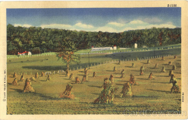 Iowa Field, Farm Farming
