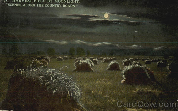 Harvest Field By Moonlight Farming
