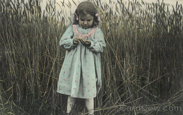 Girl in Wheat Field Girls