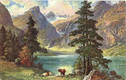 10928 Der Seealpsee mit dem Santis Cows & Cattle Postcard Postcard