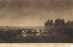 Rousseau Theodore Cows Cows & Cattle Postcard Postcard