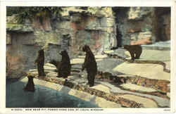 New Bear Pit, Forest Park Zoo Postcard