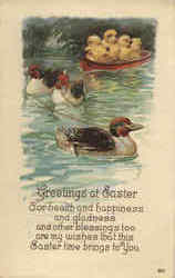 Ducks Greetings At Easter Postcard