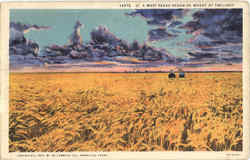 A West Texas Ocean Of Wheat At Twilight Postcard