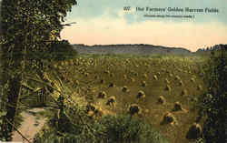 Our Farmers' Golden Harvest Fields Postcard